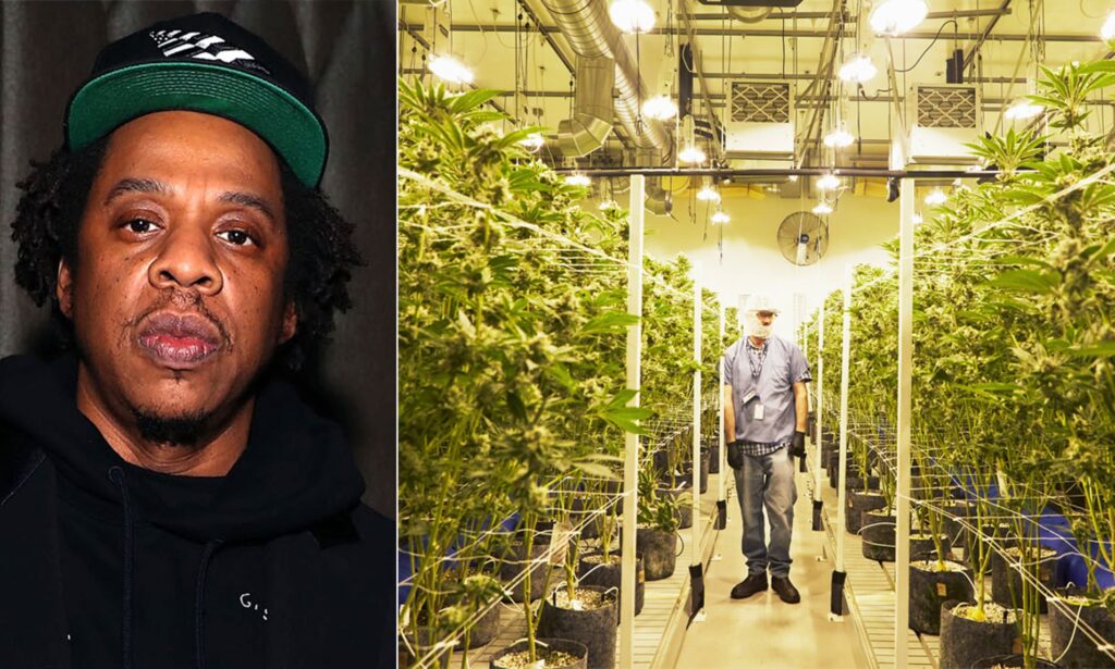 Jay Z - Joins Marijuana Business (Caliva)